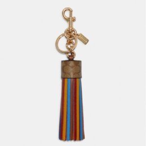 Coach Color Block Tassel With Key Ring / Dogleash Clip